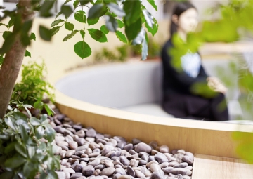 Скрытый сад за бетонными стенами