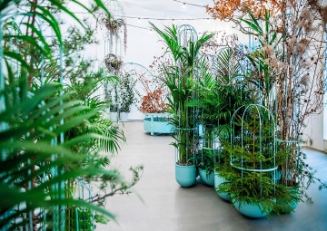 Кашпо в виде кактуса