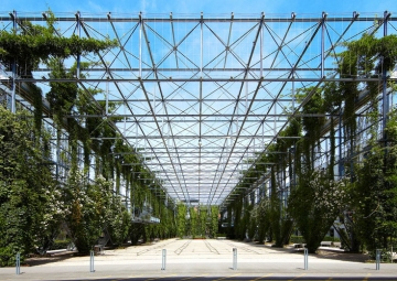 Парк MFO в Цюрихе, Швейцария