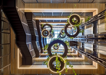 Висячие сады в центе Сиднея