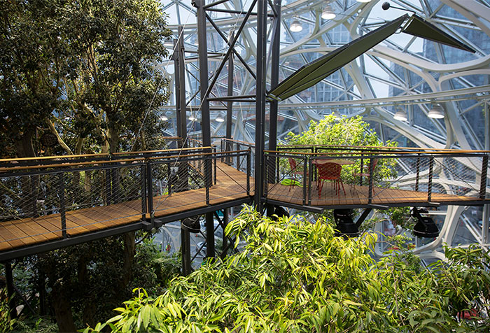 офис Amazon в Сиэтле