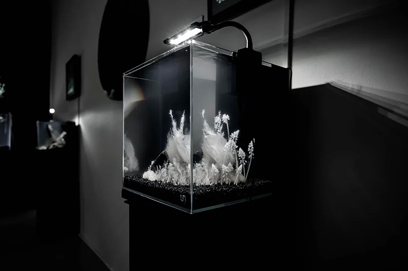 Озеленение дома