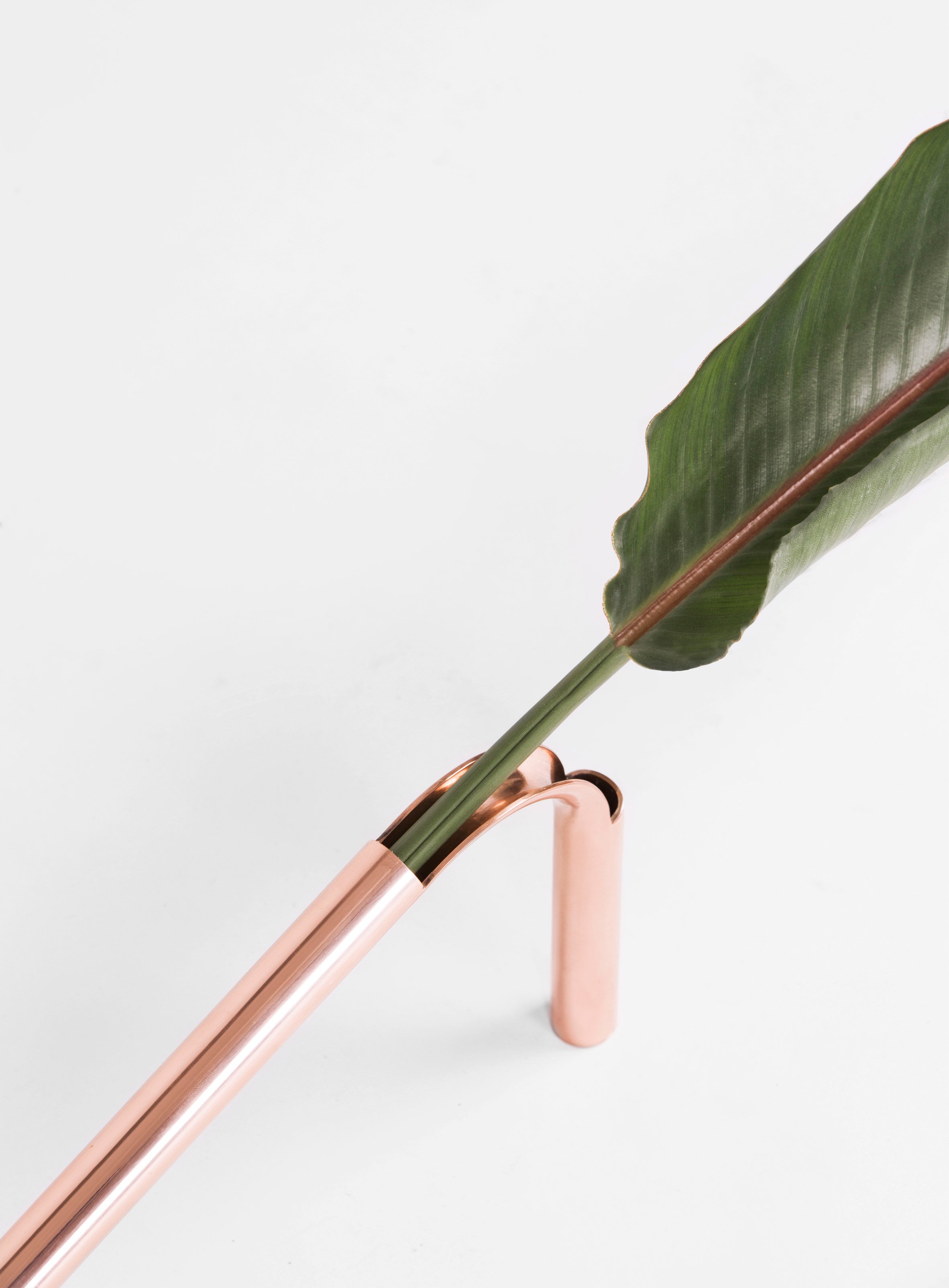 Озеленение Кафе