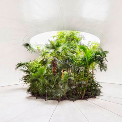 Фитодизайн